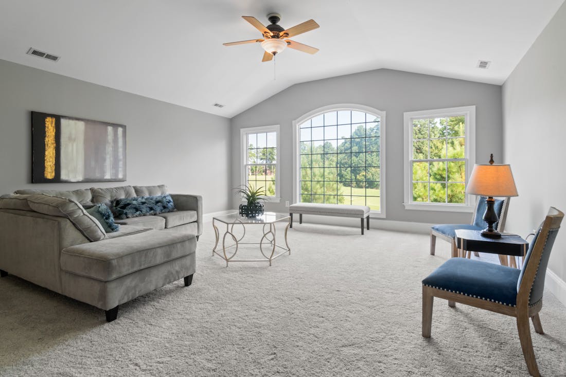 Carpet Cleaning service