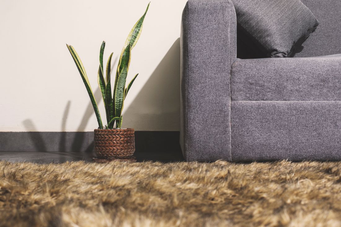 Carpet Repair & Restretching service